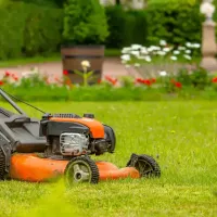 lawn-mower