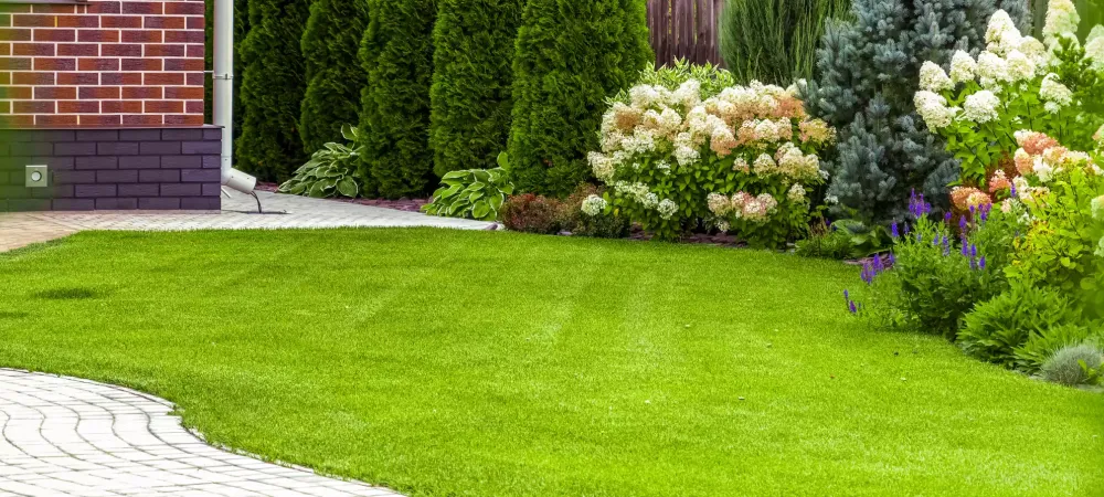 a beautiful lawn with a lawn care plan