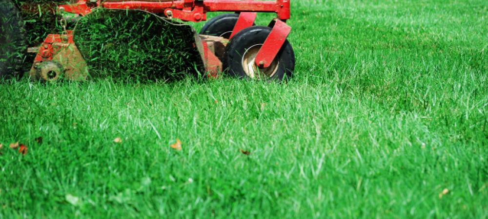 A mower without a bagging attachment for clippings