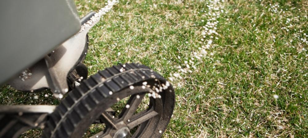 Coastal lawn fertilization