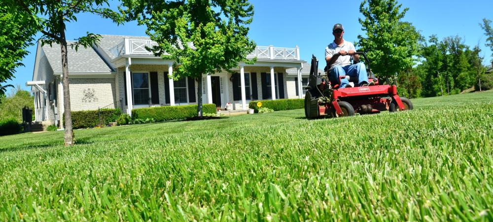 A homeowner mowing their lawn